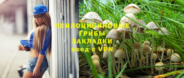 spice Алзамай